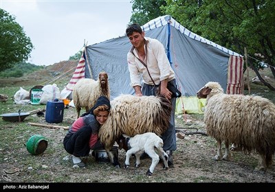 ایران کے صوبہ لرستان کے خانہ بدوشوں کی زندگی