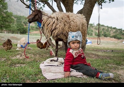 ایران کے صوبہ لرستان کے خانہ بدوشوں کی زندگی