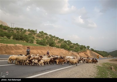 ایران کے صوبہ لرستان کے خانہ بدوشوں کی زندگی