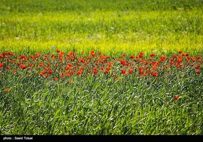 ایران کے صوبہ شمالی خراسان کا جنت نظیر ٹکڑا