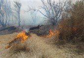 سنت نادرست کشاورزان شوشی باعث آتش سوزی در پارک‌ملی‌ کرخه شد+تصاویر