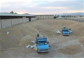 52 هزار تن گندم در شهرستان‌های گرمسیری کهگیلویه و بویراحمد خریداری شد
