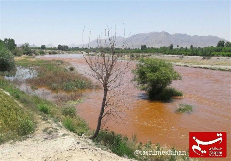 تکذیب شایعات ورود ماده شیمیایی به زاینده‌رود/ آب آشامیدنی اصفهان مشکلی ندارد؛ مردم نگران نباشند