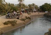 شنا کردن در تاسیسات آبی استان بوشهر ممنوع شد