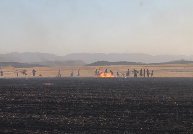 لرستان|آتش‌سوزی گندم‌زارهای بخش کوهنانی کوهدشت مهار شد؛ خسارت 30میلیون تومانی به مزارع
