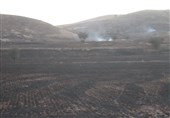 آتش سوزی در مزارع دشت کلاچوی کهگیلویه/ جنگل‌های دشت مازه در خطر حریق گسترده