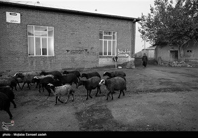 قالقاچی ، روستایی است از توابع بخش انزل در شهرستان ارومیه و نزدیکترین روستا به دریاچه شورآباد که به علت خشکسالی تقریباً تمام چاه‌های عمیق و نیمه عمیق آن خشک شده و اهالی را مجبور به مهجرت کرده است