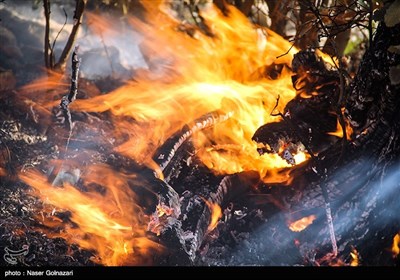 آتش سوزی در جنگل های ایوان
