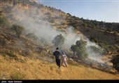 عامل 95 درصد آتش سوزی‌های مراتع استان مرکزی انسانی است
