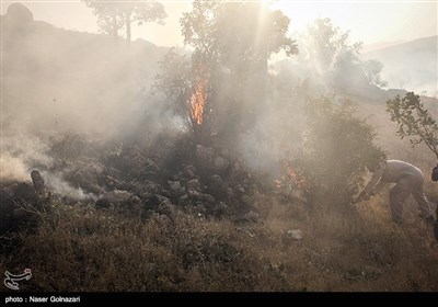 آتش سوزی در جنگل های ایوان