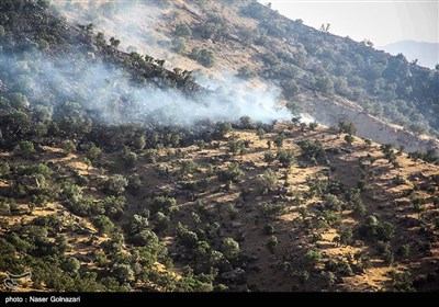 آتش سوزی در جنگل های ایوان