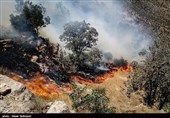 احداث آتش‌بر در مناطق بحرانی و نیمه بحرانی جنگل‌های شهرستان سلسله