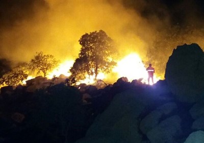  ۱۶۳ هکتار از جنگل‌های کهگیلویه و بویراحمد در آتش سوخت 