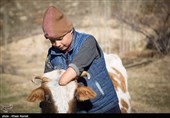 احمد ساسان که در دوران تحصیل همیشه شاگرد اول کلاس در روستای مرزی اشتوت بوده ، پس از مدرسه برای کمک به خرجی خانواده چوپانی نیز میکند . در یکی از روزها که او گله را به بیابان برده بود برای بازی از یک تیر برق بالا میرود و دچار برق گرفتگی شدید میشود و متاسفانه دست چپ خود را به طور کامل ،بخشی از انگشتان دست راست و تعدادی از انگشتان پا را از دست میدهد .هدف احمد این است که با ادامه تحصیلش مهندس شود و به کشور و مردم کشورش کمک کند.