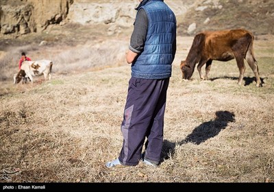 احمد ساسان که در دوران تحصیل همیشه شاگرد اول کلاس در روستای مرزی اشتوت بوده ، پس از مدرسه برای کمک به خرجی خانواده چوپانی نیز میکند . در یکی از روزها که او گله را به بیابان برده بود برای بازی از یک تیر برق بالا میرود و دچار برق گرفتگی شدید میشود و متاسفانه دست چپ خود را به طور کامل ،بخشی از انگشتان دست راست و تعدادی از انگشتان پا را از دست میدهد .هدف احمد این است که با ادامه تحصیلش مهندس شود و به کشور و مردم کشورش کمک کند.