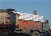 350 تن مواد غذایی از اسکله بندر دیر به مقصد قطر بارگیری شد