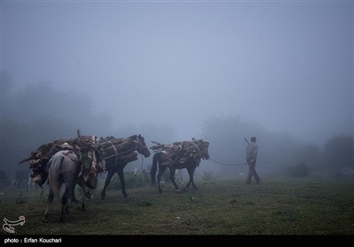 فیلبند , بهشتی بر فراز ابرها