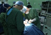 اعضای 30 بیمار مرگ مغزی استان بوشهر به 90 بیمار پیوند زده شد