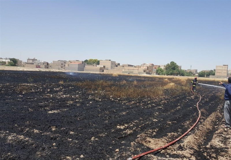 برخورد با عاملان آتش‌زدن کاه و کلش در استان اردبیل تشدید می‌شود