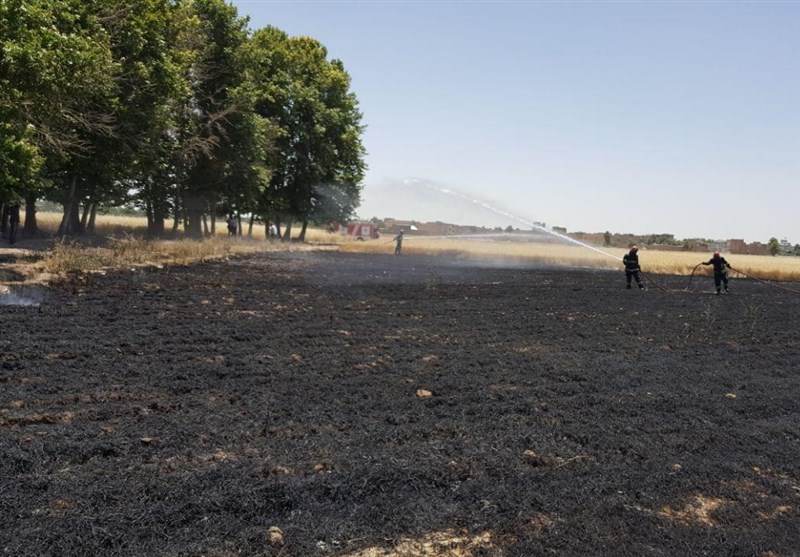 برداشت آتش از مزارع کوهدشت؛ آتش‌سوزی گندم‌زارهای روستای داوودرشید مهار شد