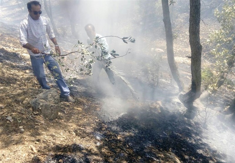 ادامه سریال تلخ آتش سوزی جنگل‌های کهگیلویه و بویراحمد؛/ &quot;پیرچوپان سروک&quot; طعمه حریق شد+تصاویر