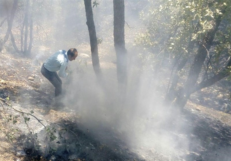 حریق در ارتفاعات «کُهمره» فیروزآباد/ آتش‌سوزی در ارتفاعات بیضا تحت کنترل است