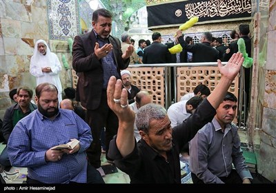 People Mark Laylat al-Qadr in Hazrat Masoumeh's Holy Shrine