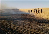آتش‌سوزی در مزارع دشت کلاچوی کهگیلویه به روایت تصویر