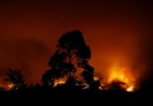 کشته شدن 25 نفر در آتش سوزی جنگل‌های پرتغال