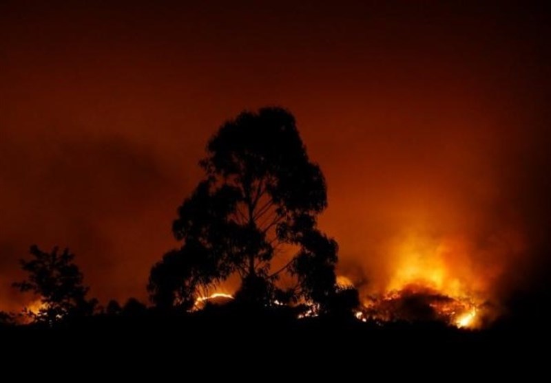 آتش به جان جنگل و مردم پرتغال افتاد/ دست‌کم 25 تن در این حادثه جان باختند