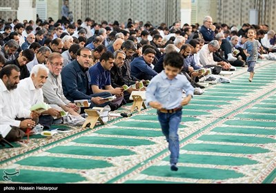 مراسم احیای شب قدر در بوشهر
