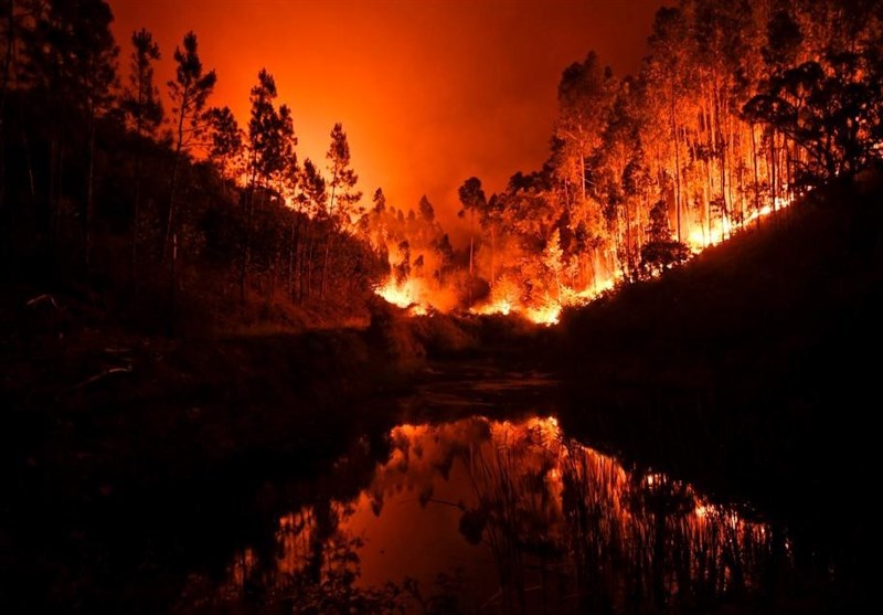 Image result for ‫آتش سوزی جنگل های در پرتغال‬‎