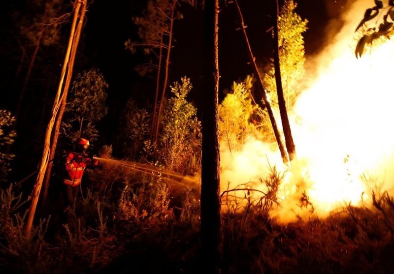 احتمال آتش‌سوزی جنگل‌‌های قزوین در آخر هفته بالا است