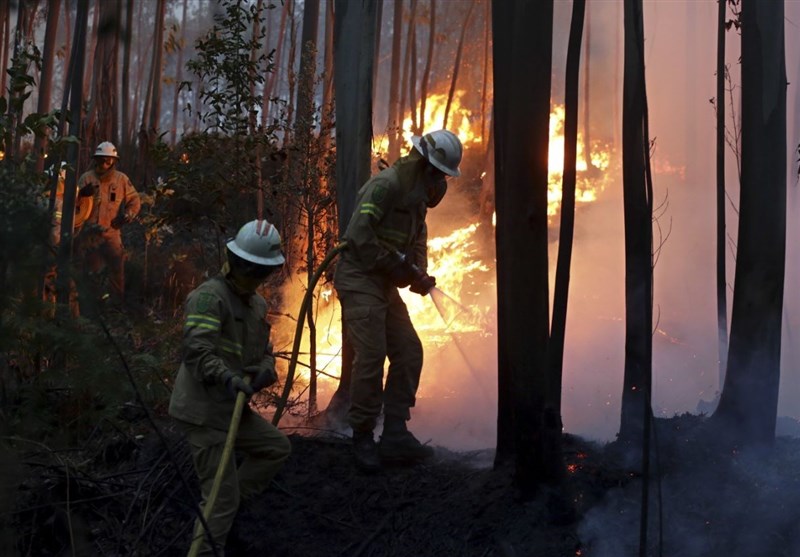 Portugal Wildfire Leaves 57 People Dead, Dozens Injured