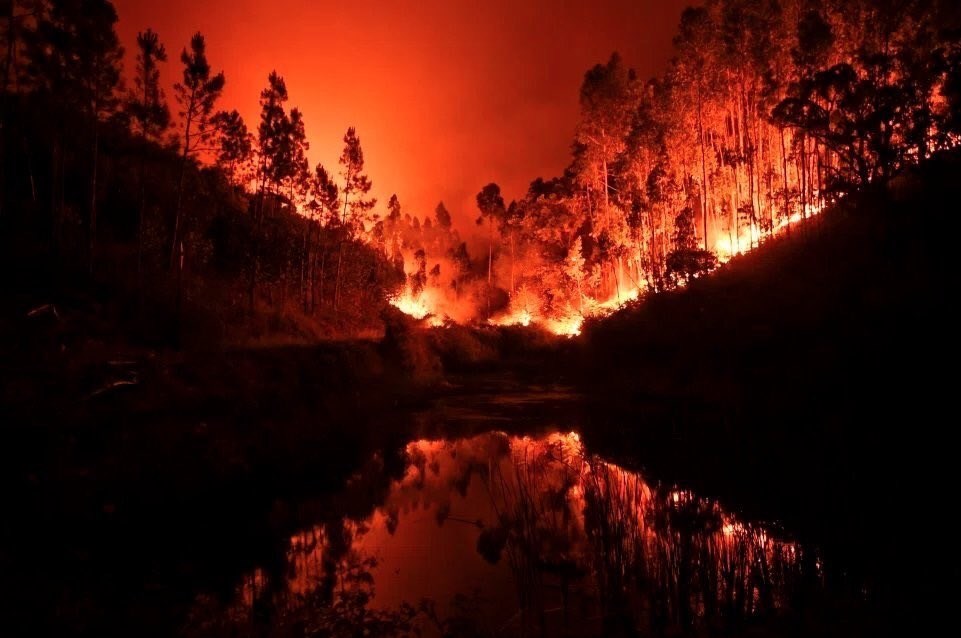 صاعقه علت آتش‌سوزی گسترده پرتغال اعلام شد/افزایش تعداد قربانیان به 57 نفر