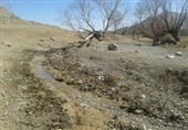 کمر کشاورزان روستاهای درگز زیر بار خشکسالی خم شد/ کمبود بودجه در بخش کشاورزی‌ بیداد می‌کند