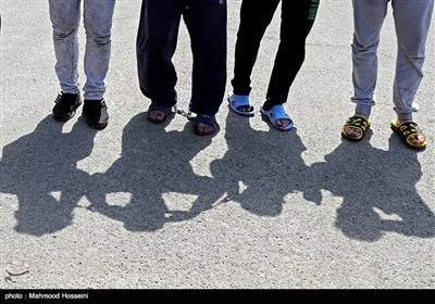 دستگیری 145 سارق و زورگیر شهر تهران