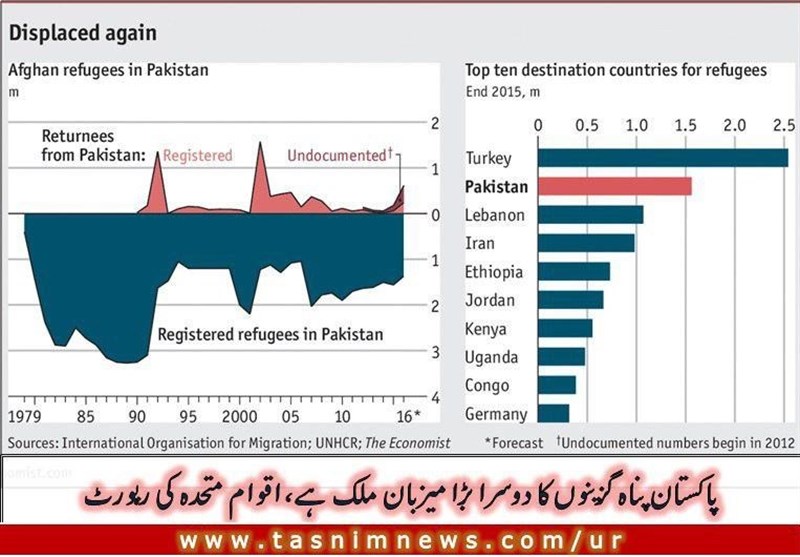 پاکستان پناہ گزینوں کا دوسرا بڑا میزبان ملک ہے، اقوام متحدہ کی رپورٹ + گراف