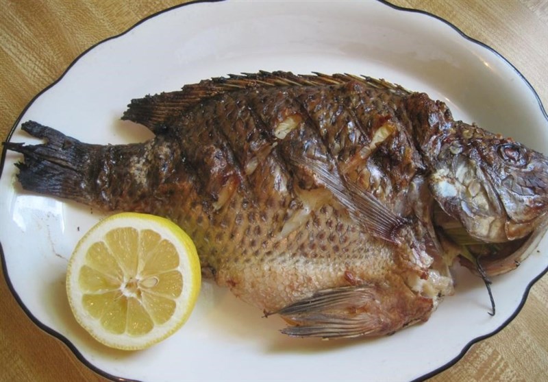 چرا مصرف ماهی &quot;تیلاپیا&quot; خطرناک است + فیلم