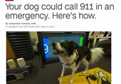 Your dog could call 911 in an emergency.