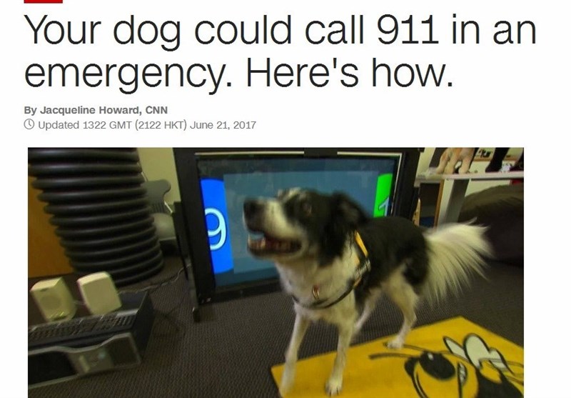وقتی سگ‌ها با اورژانس تماس می‌گیرند