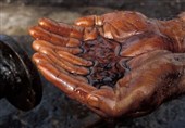 روایت تسنیم از مصائب مردم منطقه &quot;سرخون&quot;/ شکستگی خط لوله نفت روزگار محیط زیست را سیاه کرد