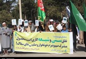 گزارش ویدئویی تسنیم از راهپیمایی روز قدس در غرب افغانستان+تصاویر
