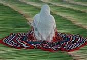 عکس11