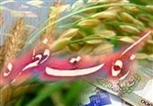 افزایش 63 درصدی زکات فطره در استان زنجان/ تعداد حامیان ایتام 259 درصد افزایش یافت
