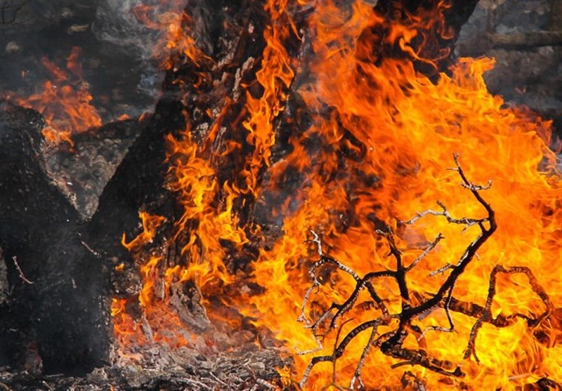 لرستان|وزش باد شدید آتش مهارشده درختان بلوط مله کوه پلدختر را شعله‌ور کرد