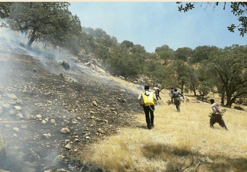 وقوع آتش‌سوزی در مراتع آمل/ تداوم هوای گرم در مازندران