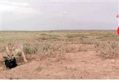 گرگان|پرتوزایی رسوبات کارخانه ید کانسار خزر خطرناک نیست
