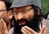 سید صلاح الدین