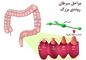 عکس11
